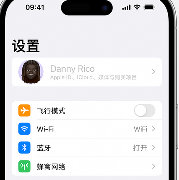 绵竹appleID维修服务iPhone设置中Apple ID显示为灰色无法使用 