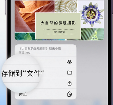 绵竹apple维修中心分享iPhone文件应用中存储和找到下载文件