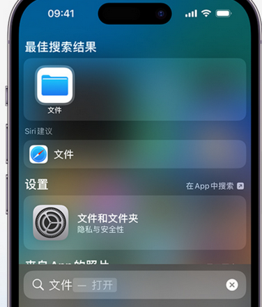 绵竹apple维修中心分享iPhone文件应用中存储和找到下载文件