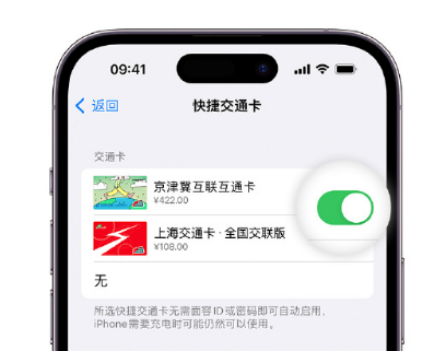 绵竹apple维修点分享iPhone上更换Apple Pay快捷交通卡手绘卡面 