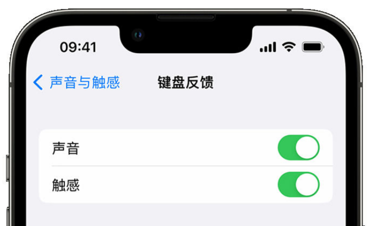 绵竹苹果手机维修分享iPhone 14触感键盘使用方法 