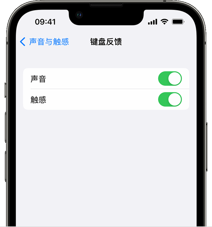 绵竹苹果14维修店分享如何在 iPhone 14 机型中使用触感键盘 