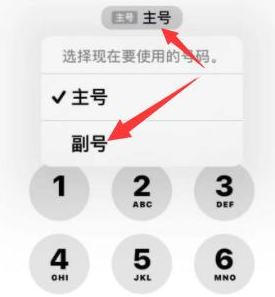 绵竹苹果14维修店分享iPhone 14 Pro Max使用副卡打电话的方法 