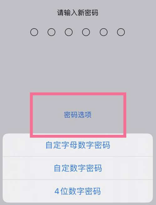 绵竹苹果14维修分享iPhone 14plus设置密码的方法 